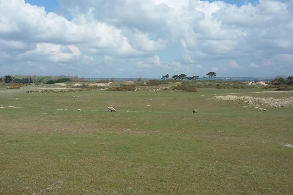 Gite Ouest De La Pointe D'Agon Luaran gambar