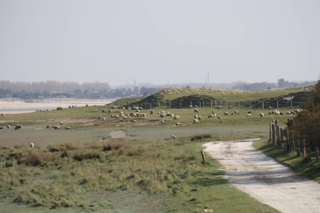 Gite Ouest De La Pointe D'Agon Luaran gambar